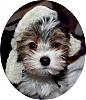 Calling All YT Boys -- COME JOIN!!!-frankie-2112.jpg