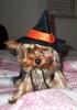 Watch them when they sleep!-pita-halloween-008.jpg