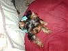 Bleu Boy's Sister!-baby-sleeping-014.jpg