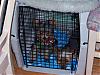 Plastic Travel Kennel or Wire Crate-two-cage.jpg