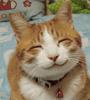 Smile-cat_smile.jpg