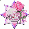 Hello to Yorkie Talk.com!!!!-hello20star20rose.gif