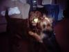 Video and Picture Of How Tucker Tortures Rusty!!!-balls-005.jpg