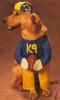 Funny Pictures!!-7128-pg-6_football_dog.jpg