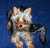 Calling All YT Boys -- COME JOIN!!!-img0051smalldg7.jpg