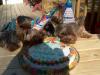 Finally...Maddie & Kirby's Birthday Party!-hpim1056.jpg