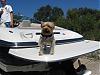 Boatin with Yorkies-lake4.jpg