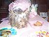 Lacies' First Birthday!!-lacie-w-cake2.jpg