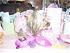 Lacies' First Birthday!!-lacie-w-gifts.jpg