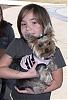 Yorkie giveaway????-100_3874.jpg