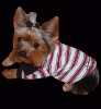 Sean John Dog Apparel/Pics anyone seen these?-seanjlay-copy.gif