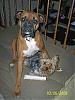 big dog/little dog-102_1344.jpg