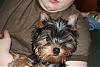 Im Gonna Explode If I Dont Tell Someone.......-img_1710-600-x-400-.jpg