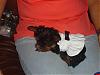 Itty Bitty Girl-,000!!!!!-baby-lulu-2.jpg