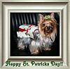 Happy St. Patricks Day!!!-happy-st-pattys-day-08.jpg