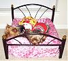 A BED FOR A KING!!!! Gotta Share!!!-new-bed-5-.jpg