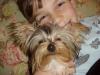 Bailey & Charlie want to say NITE NITE :)-thomascharlie4.jpg