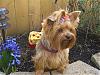 Was i not Cute as a Bug-cimg1817-small-.jpg