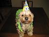 Juju Bean's 1st Birthday!!!-rsz1202.jpg
