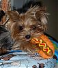 My big (little) girl!-lola-hotdog.jpg