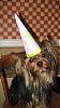 Happy 1st Birthday Sweet KALINA!!-bdayhat.jpg