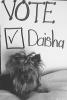 Come on YT'ers.... Don't let Daisha down!!!-dixiedaishadixiebows-136.jpg