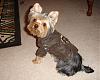 puppy cut-coby-bomberjacket2.jpg