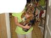 Pretty Yorkie girl-img_0689.jpg