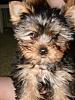 Beckham update and help with name...-dsc02600small.jpg