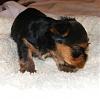 Need help finding a name!-lkjk.jpg
