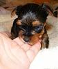 Need help finding a name!-jhlk.jpg