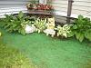 My Yorkie Safe Pond.-cimg0025qg2.jpg