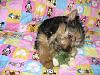Introducing...-img_2344a.jpg