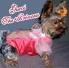 YorkieTalk Halloween 2005 Contest Submissions! Enter here!-s-princess-costume.jpg