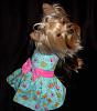 Jazzie Modeling from Mommies Boutique ; p-dscn1567-2.jpg