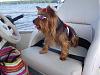 PetSmart Bikini Contest!!!-lake-house-23-.jpg