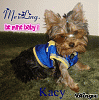 Single and looking...hehe-176570510_1001734.gif