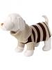 striped doggie sweater-gp349819-02viv01-1-.jpg