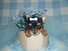 How do I report a puppy mill and animal cruelty-resized_p1010022.jpg