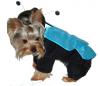 YorkieTalk Halloween 2005 Contest Submissions! Enter here!-chloemorpho3.jpg