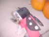 YorkieTalk Halloween 2005 Contest Submissions! Enter here!-mvc-007s.jpg