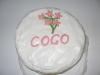 Coco's 1st Birthday Today With Pictures!-picture-225.jpg