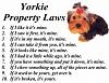 Yorkie Laws!-yorkie_laws-1-.jpg