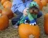 YorkieTalk Halloween 2005 Contest Submissions! Enter here!-dsc006201.jpg