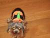 YorkieTalk Halloween 2005 Contest Submissions! Enter here!-pumpkin3.jpg