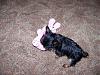 Jamine and her Bunny-jasmine-007.jpg