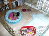 What to put into a playpen?-p1010241.jpg