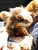 Havent been around for a while but im back-img_1197_t.jpg