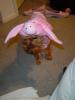 My little piggie girl-pig-350-x-467-.jpg