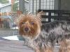 Please help if you can and don't criticize.....-tobey.jpg